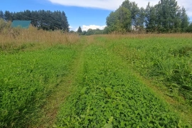 Продам участок 5 соток