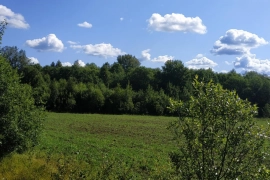 Продается  земельный участок, д. Паздеринское