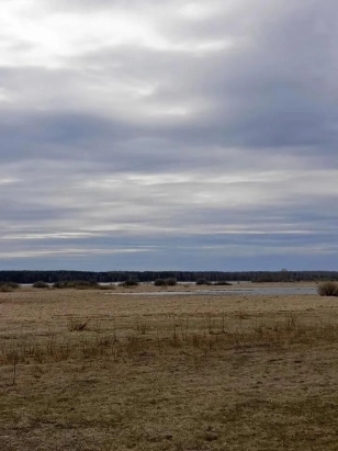 Участок 32 сот. (ИЖС)