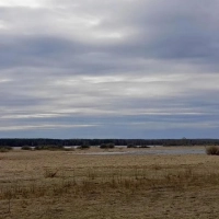 Участок 32 сот. (ИЖС)