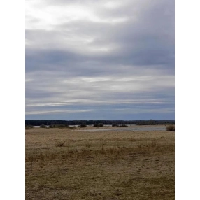 Участок 32 сот. (ИЖС)