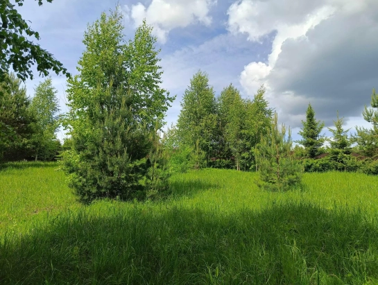 Продам земельный участок, Артюкино
