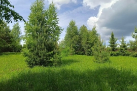 Продам земельный участок, Артюкино