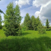 Продам земельный участок, Артюкино